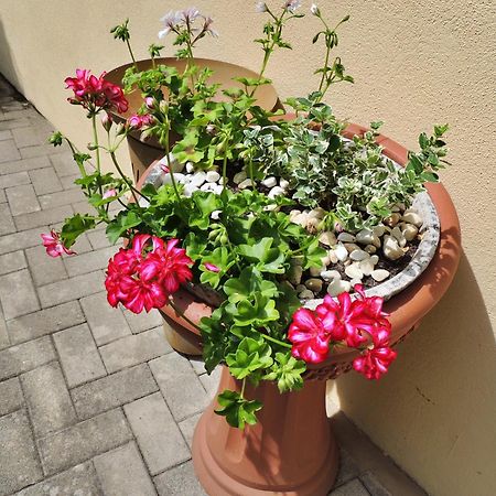 Ferienwohnung Goethe ベルンカステル・クース エクステリア 写真
